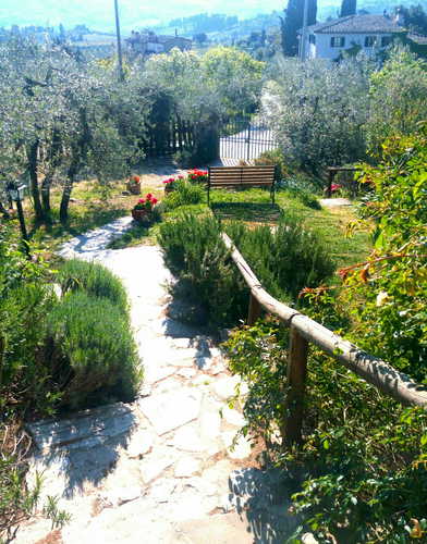 Casa Mezzuola Agriturismo-Fiori & Rosmarino